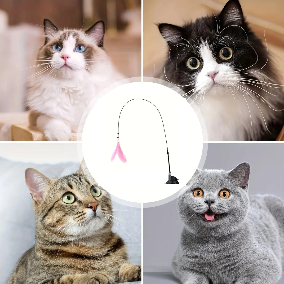 Cat Teaser Toy – Interactive Feather Wand with Bell & Suction Cup