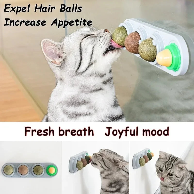 Catnip Wall Ball Toy – Rotating Interactive Cat Teeth Cleaning Toy