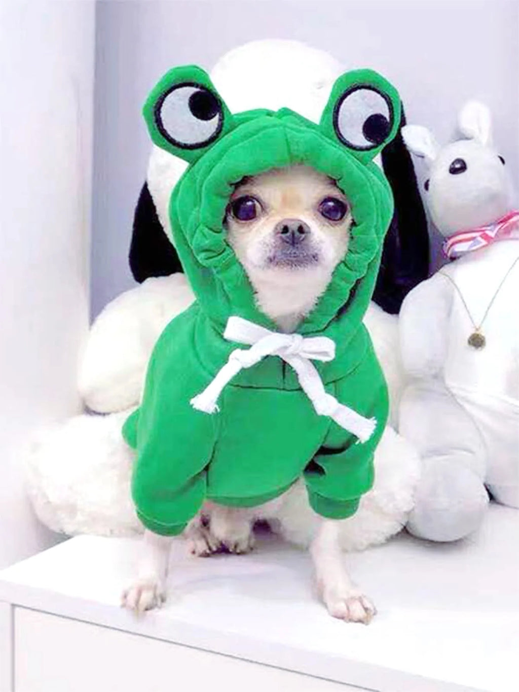 Dog Sweater for Small & Medium Dogs Green Frog Hoodie