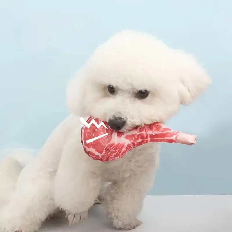Squeaky Dog Toy Chew Bone for Puppies & Training