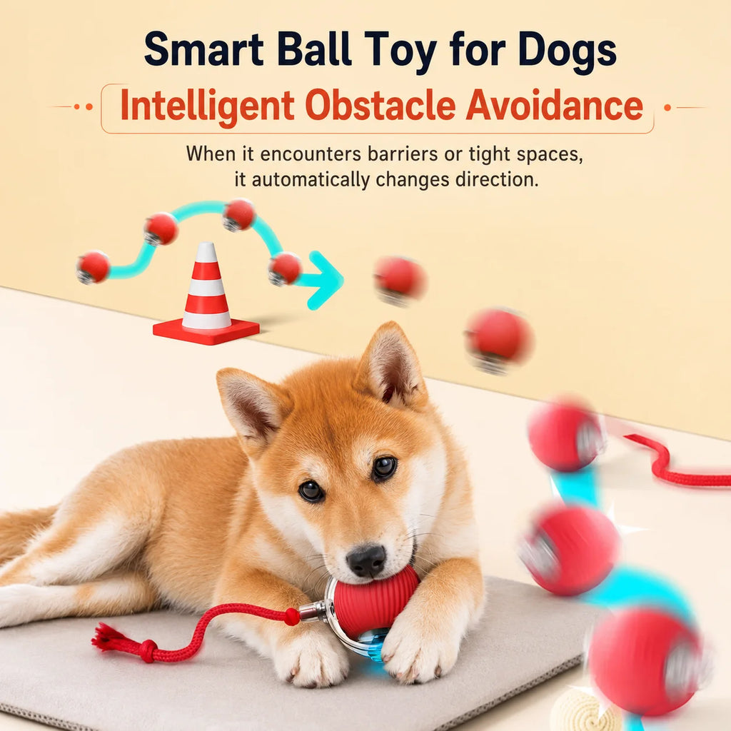 Automatic Dog Ball, Rechargeable Interactive Toy for Dogs