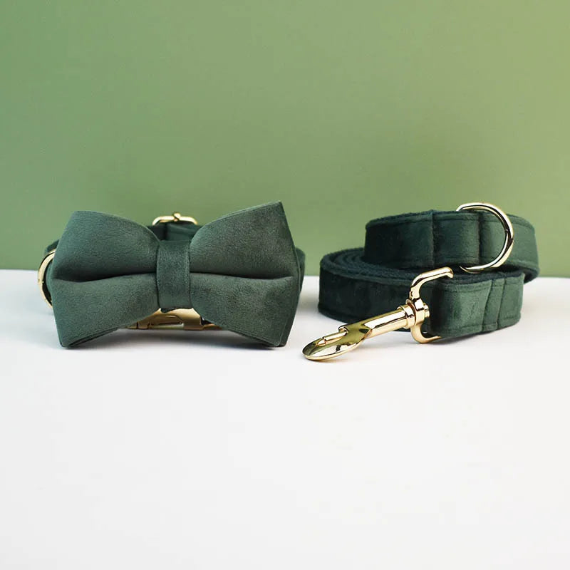 Dog Collar and Leash Set, Adjustable Velvet Collar with Gold Detail