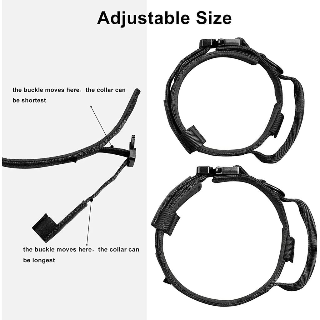 Dog Collar and Leash Set