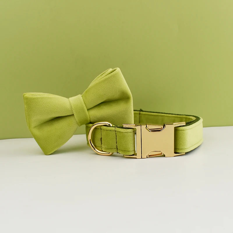 Dog Collar and Leash Set, Adjustable Velvet Collar with Gold Detail