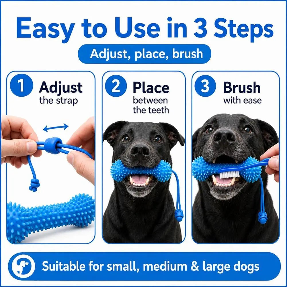 Dog Dental Chew Toy for Teeth Cleaning and Daily Chewing