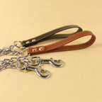 Dog Leash, 120cm Walking & Training Lead with Comfortable Handle