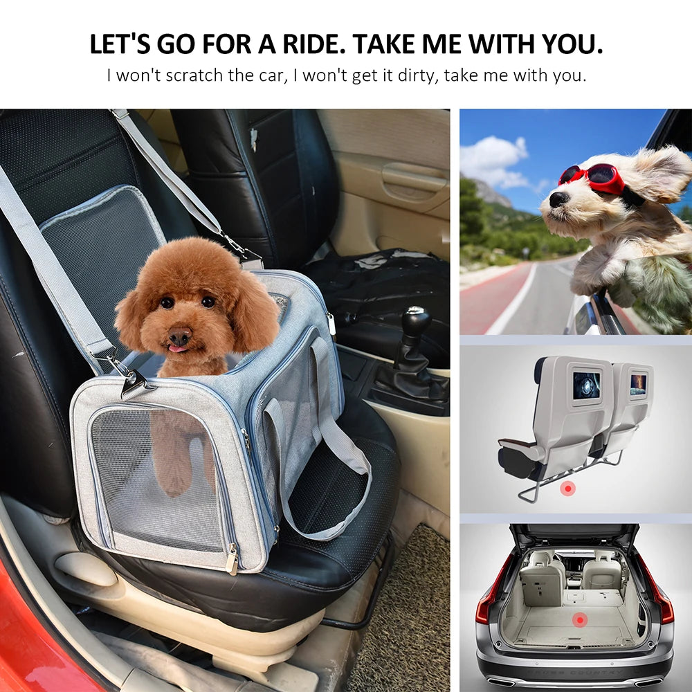 Small Dog Carrier Backpack – Soft-Sided Cat & Pet Travel Bag