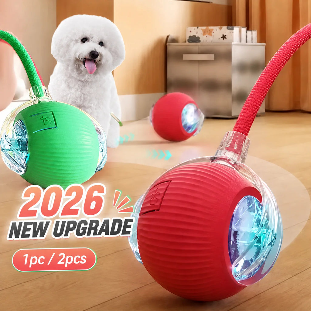 Automatic Dog Ball, Rechargeable Interactive Toy for Dogs
