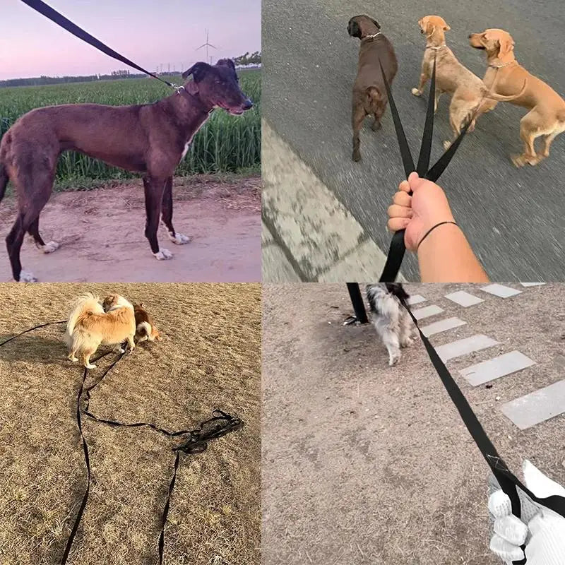 Long Dog Training Leash – Nylon Lead for Outdoor Walking