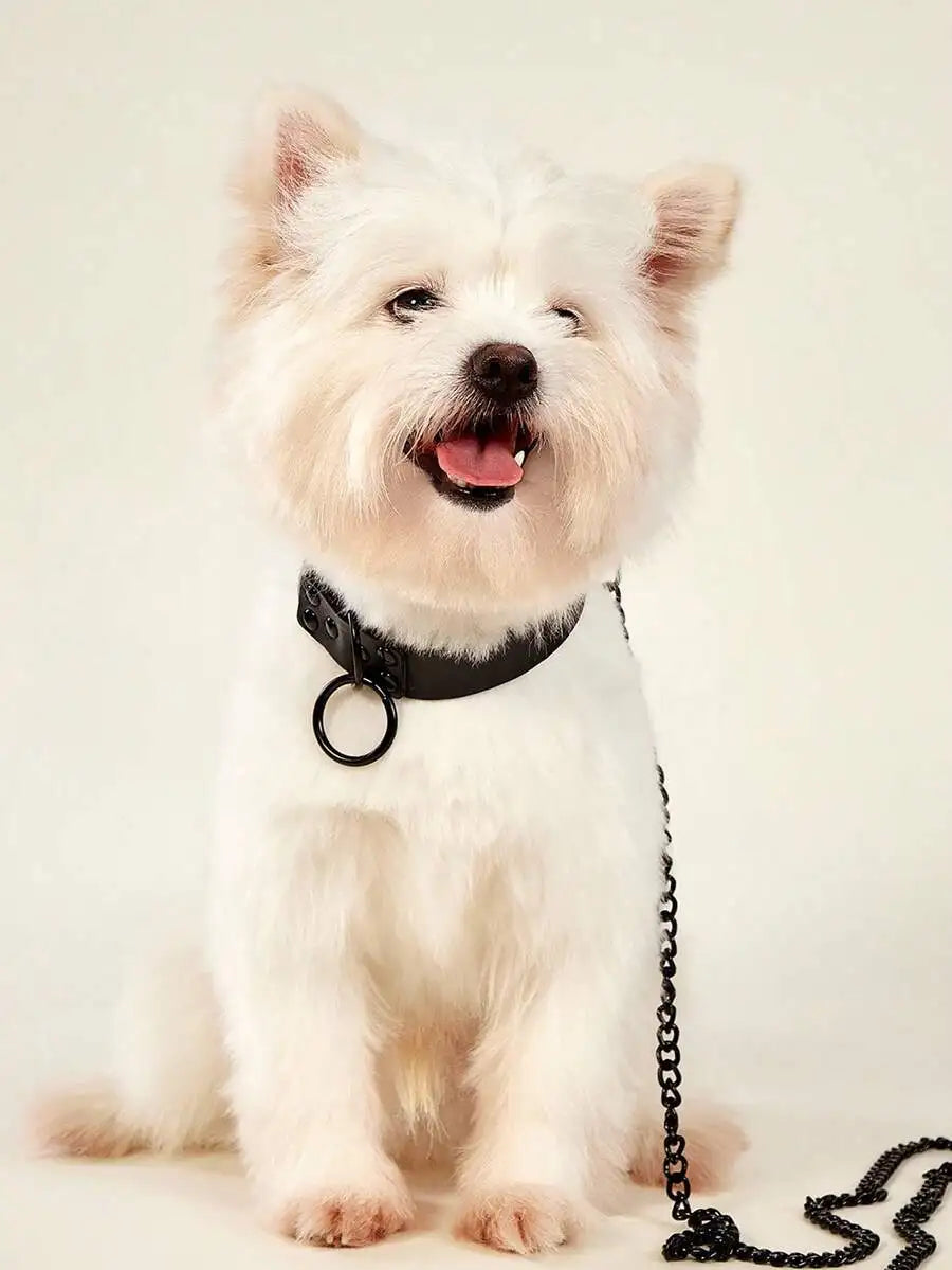 Personalized Dog Collar and Leash Set, Adjustable PU Pet Collar