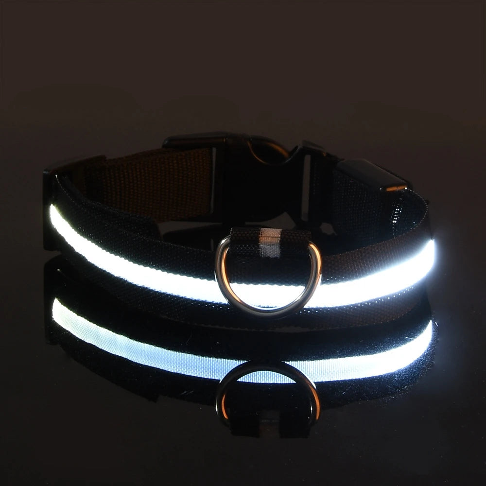 LED Dog Leash Nylon Light Up Glow Night Safety Collar