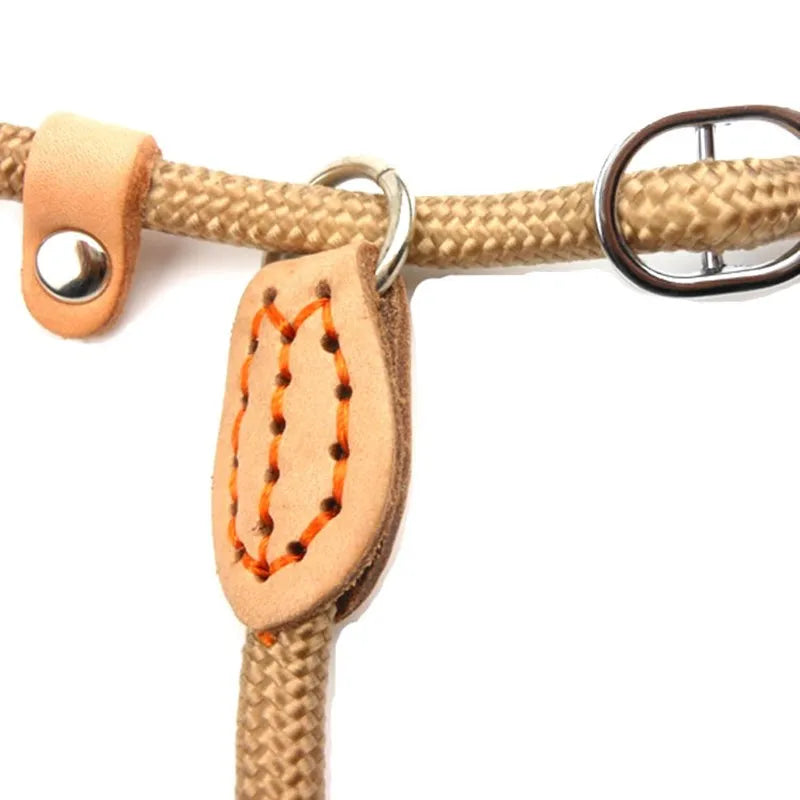 Slip Rope Dog Leash – Adjustable Braided Training Lead for Large Dogs