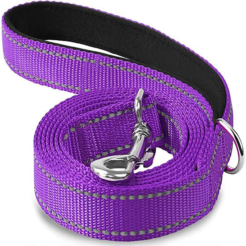 Reflective Dog Leash – Nylon Night Walking & Training Lead
