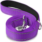 Reflective Dog Leash, Nylon Walking and Training Lead for Night