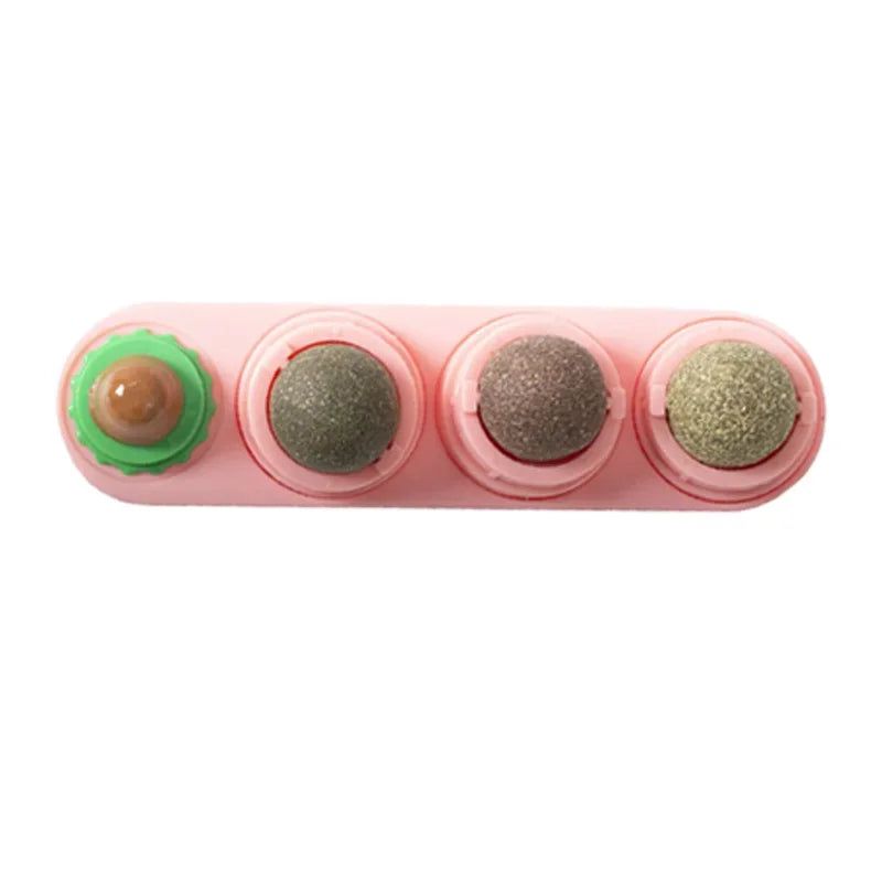 Catnip Wall Ball Toy – Rotating Interactive Cat Teeth Cleaning Toy