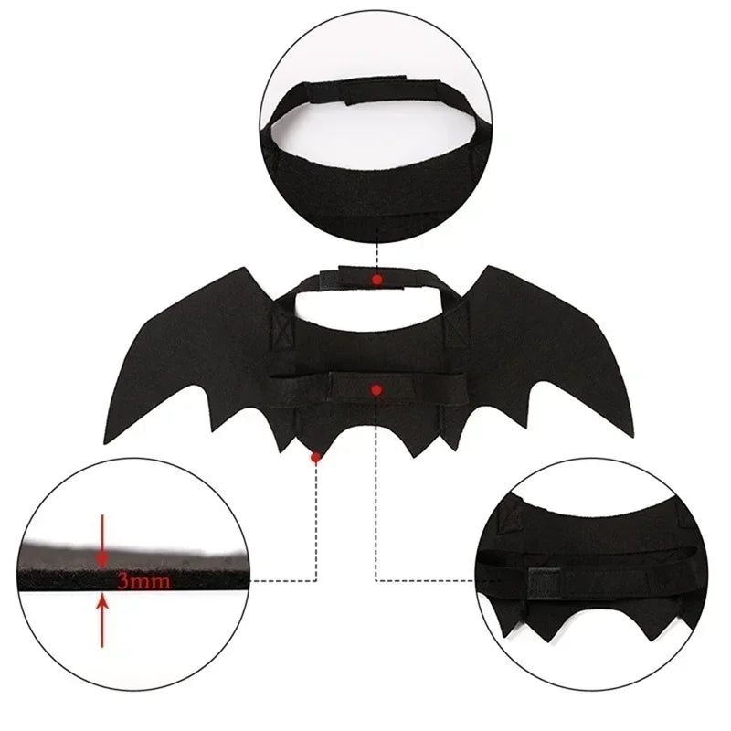 Bat Wing Cat Costume – Black Halloween Pet Cosplay Outfit