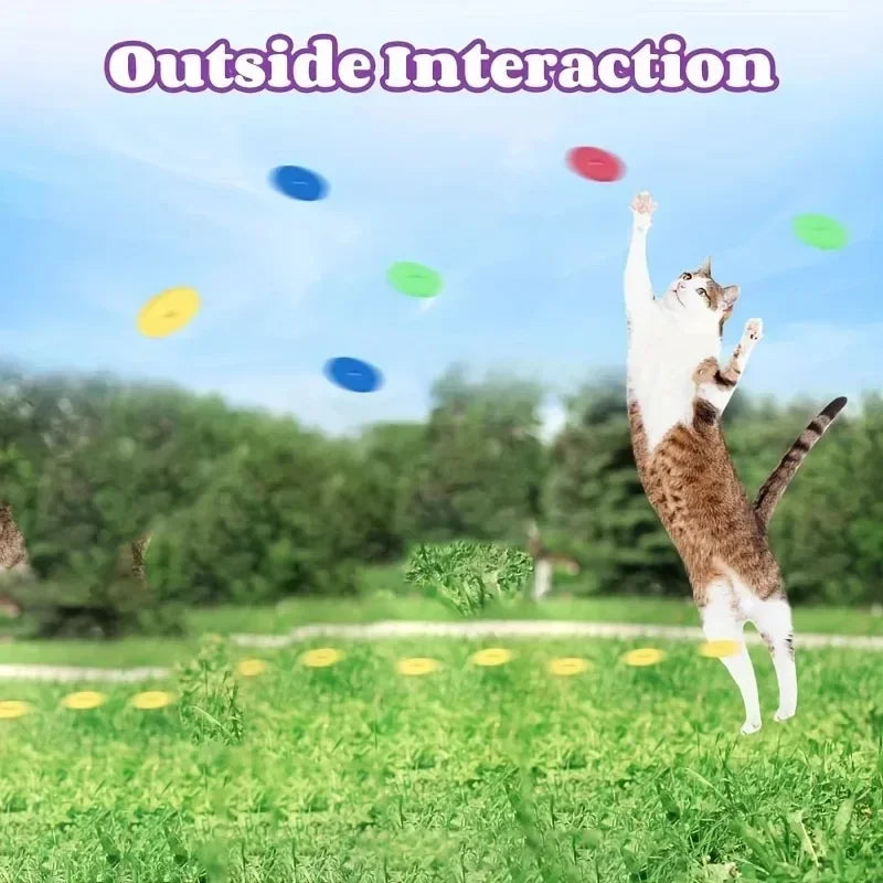 Interactive Frisbee Dog Toy – Foam Chase Toy with 15 Discs