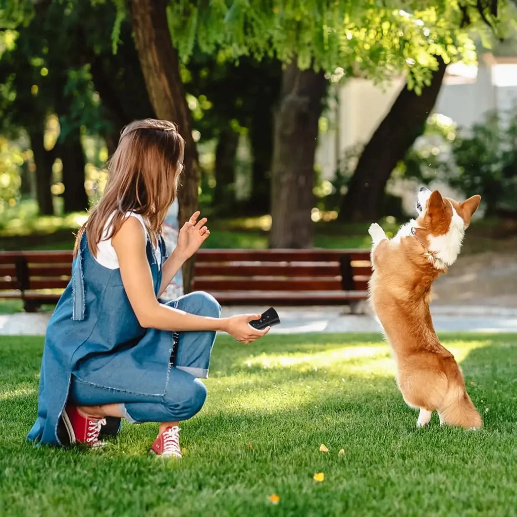 Ultrasonic Dog Repellent – Portable Dog Training Device