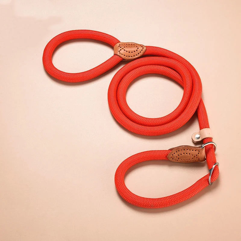 Adjustable Dog Leash – Nylon Slip Lead for Small to Medium Dogs