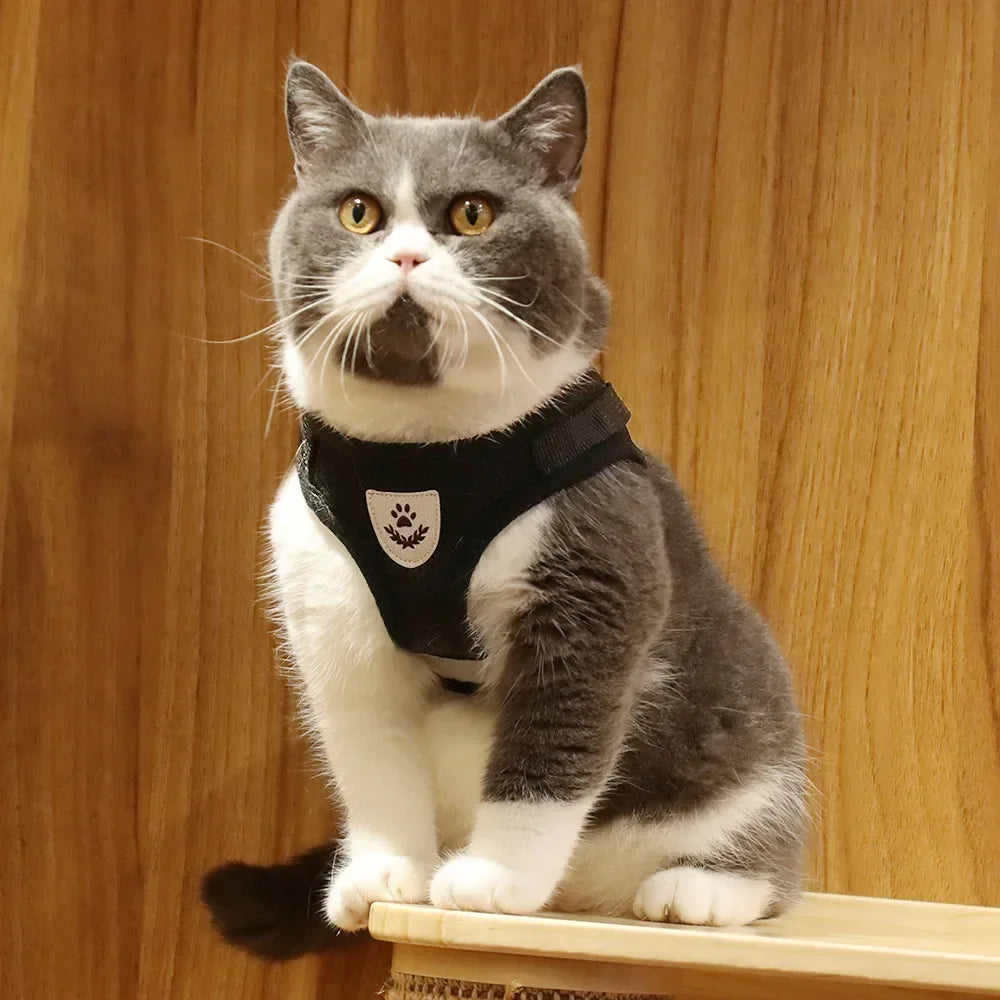Cat Harness and Leash Set – Adjustable Reflective Mesh Vest
