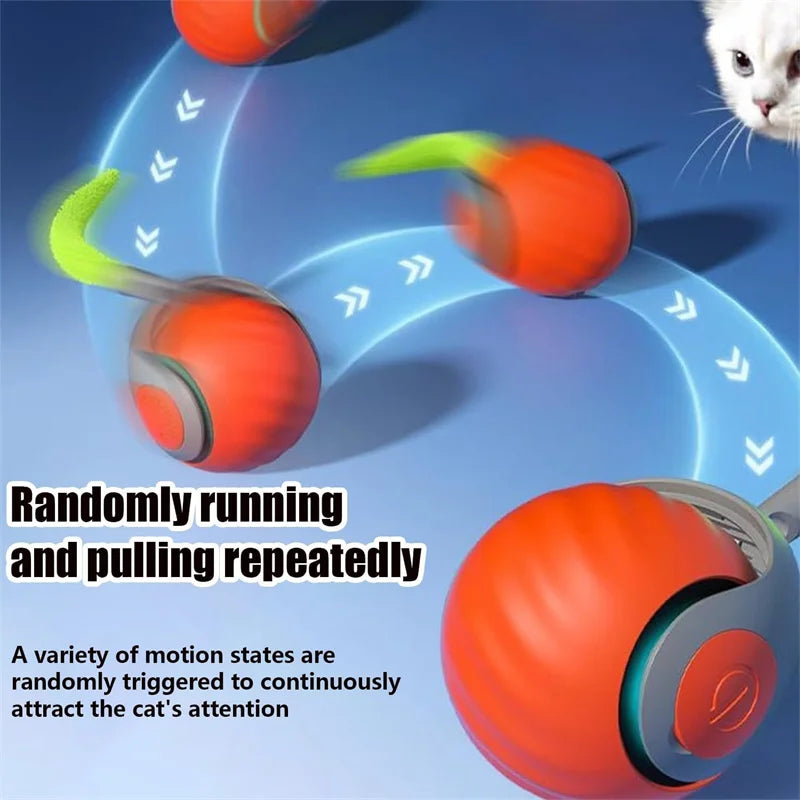 Interactive Cat Toy Plush Sound Ball with Catnip Holder