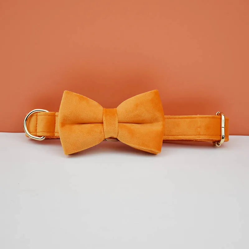 Dog Collar and Leash Set, Adjustable Velvet Collar with Gold Detail
