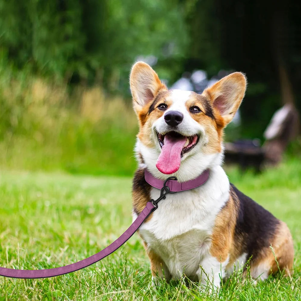 PU Leather Dog Collar and Leash Set, Adjustable Padded