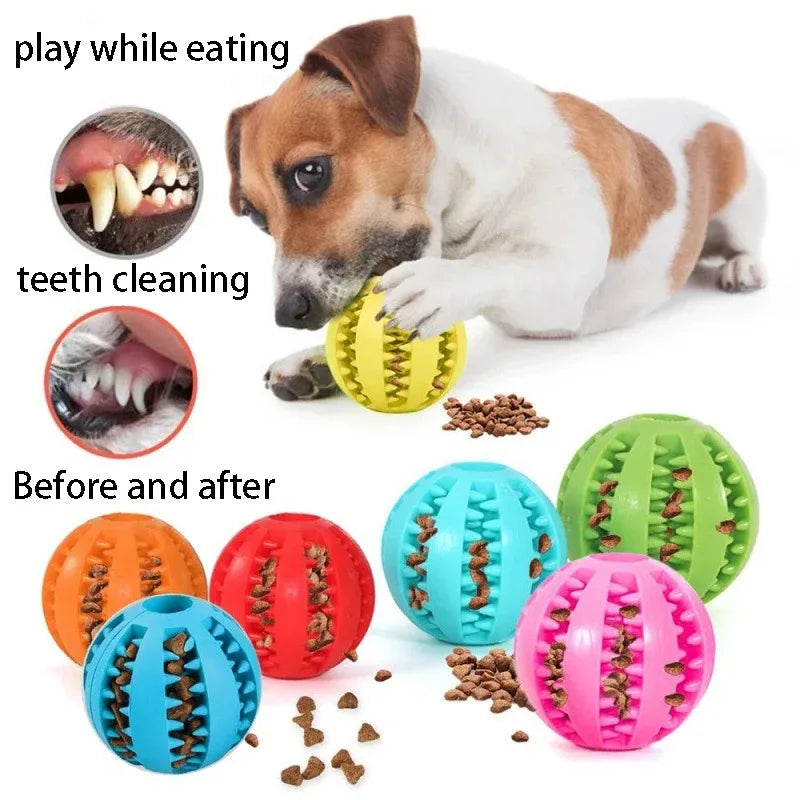 Dog Chew Ball – Natural Rubber Treat & Interactive Toy