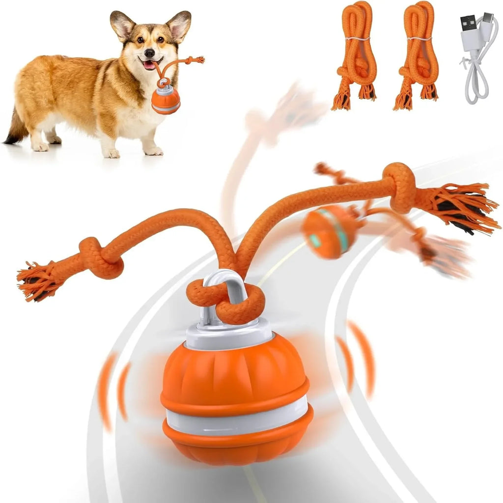 Interactive Dog Ball – Motion Activated Rolling Toy for Dogs