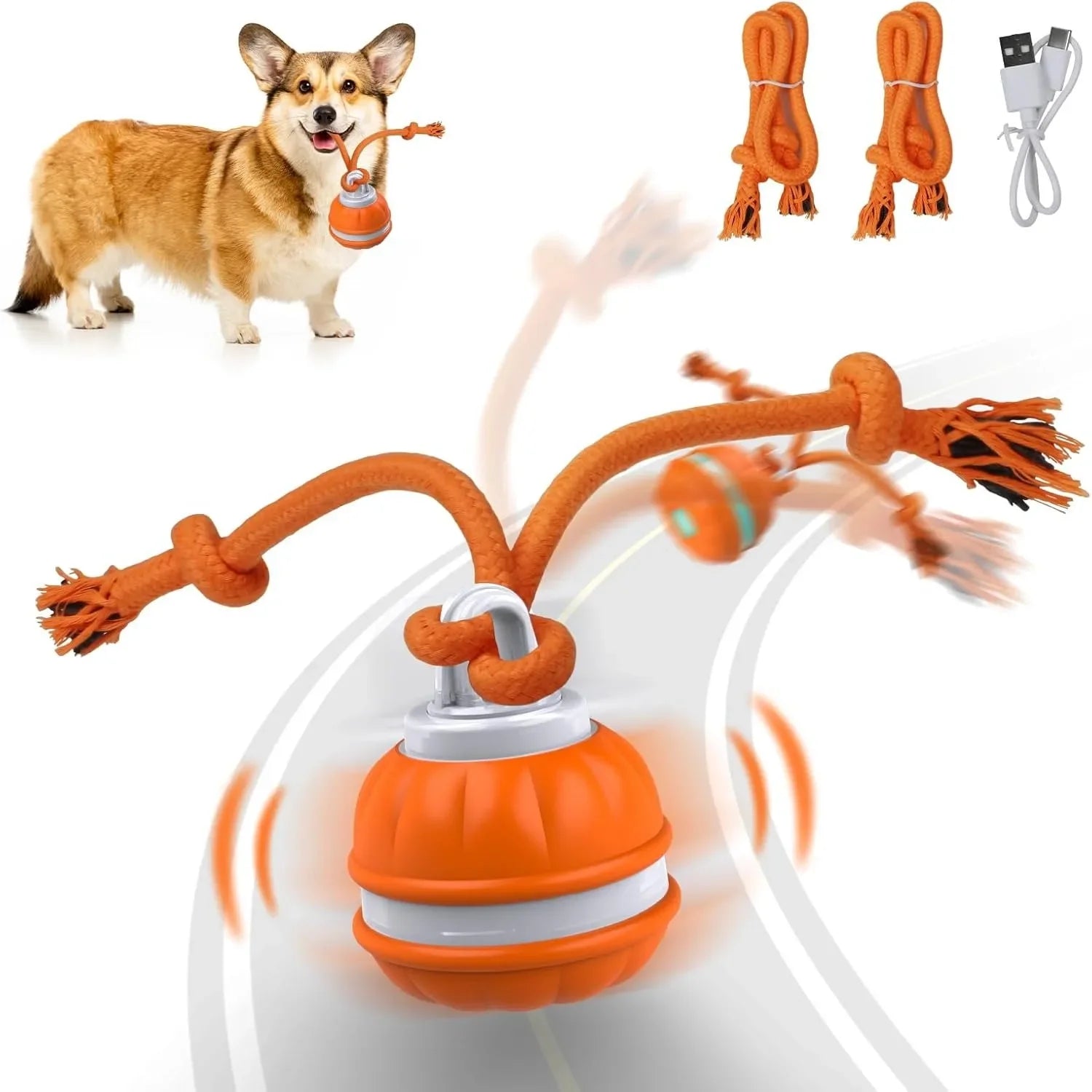 Interactive Dog Ball – Motion Activated Rolling Toy for Dogs