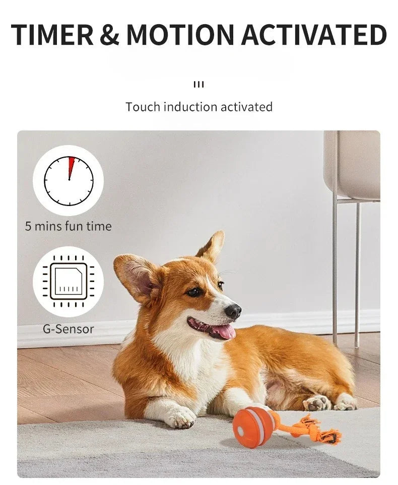 Interactive Dog Ball – Motion Activated Rolling Toy for Dogs