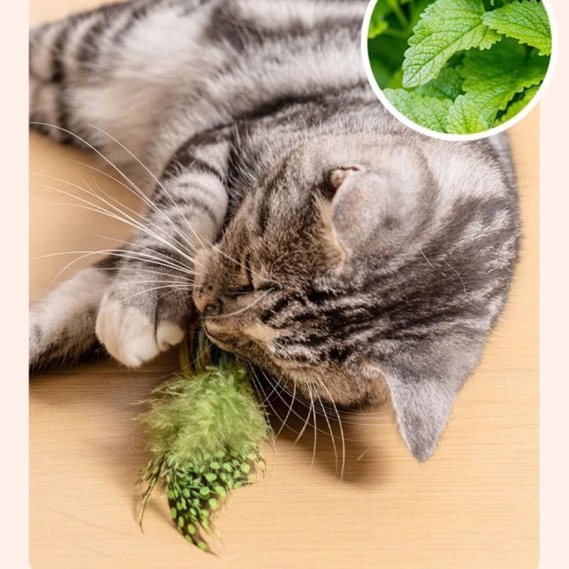Interactive Cat Toy – Hanging Bird with Realistic Sound
