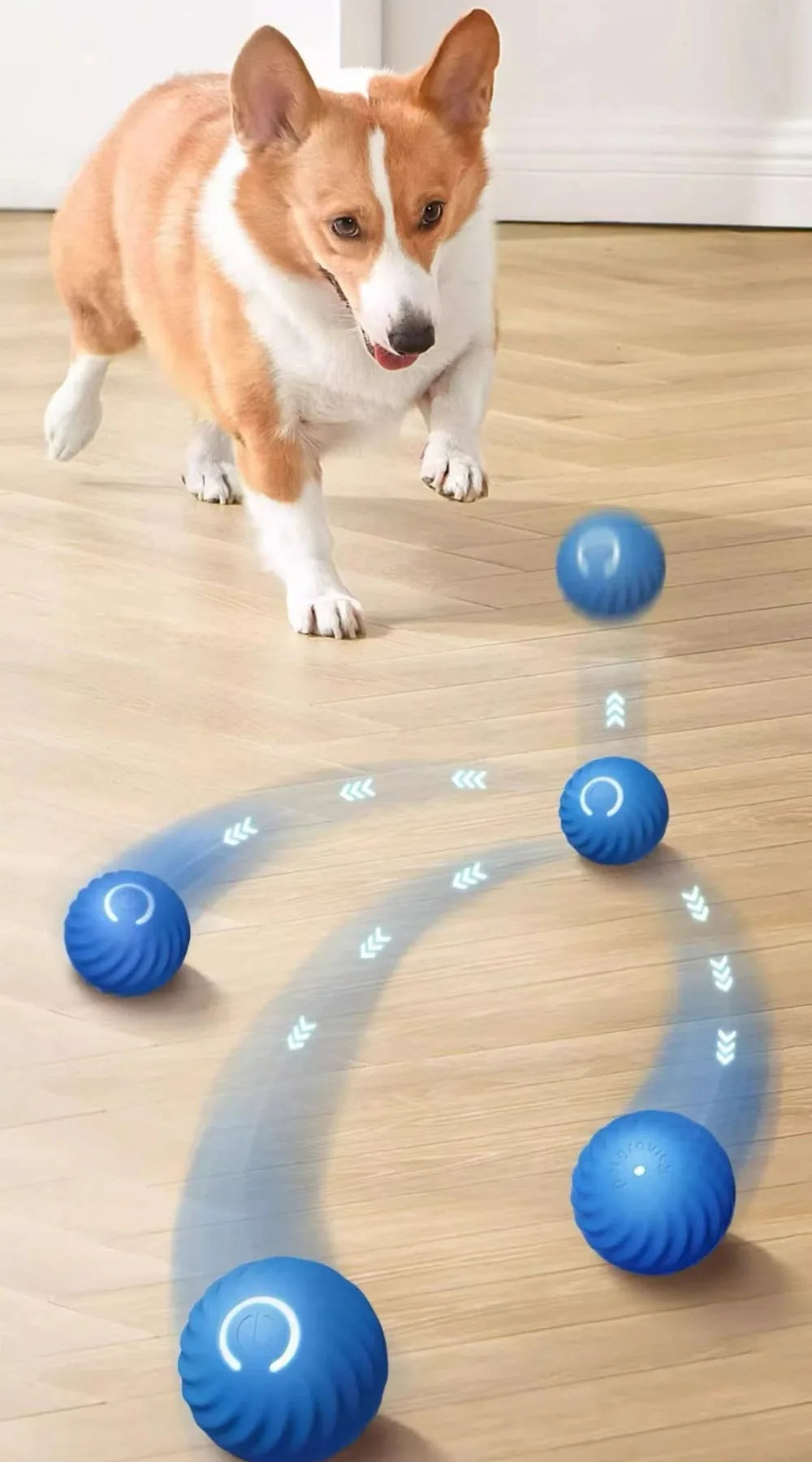 Interactive Dog Ball Toy – Automatic Moving Rechargeable Toy