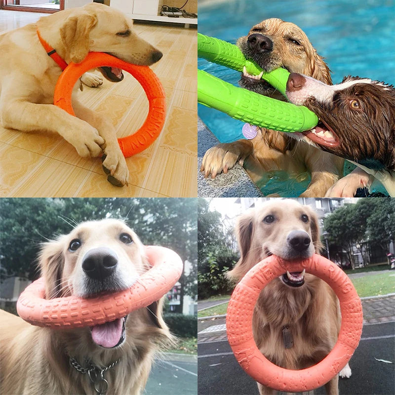 Dog Training Ring – Rubber Flying Disc Toy