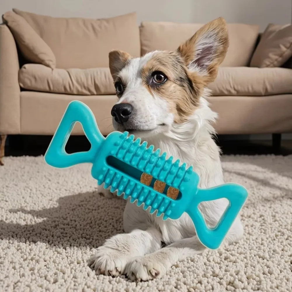 Dog Chew Toy Rubber Ball for Teeth Cleaning & Training