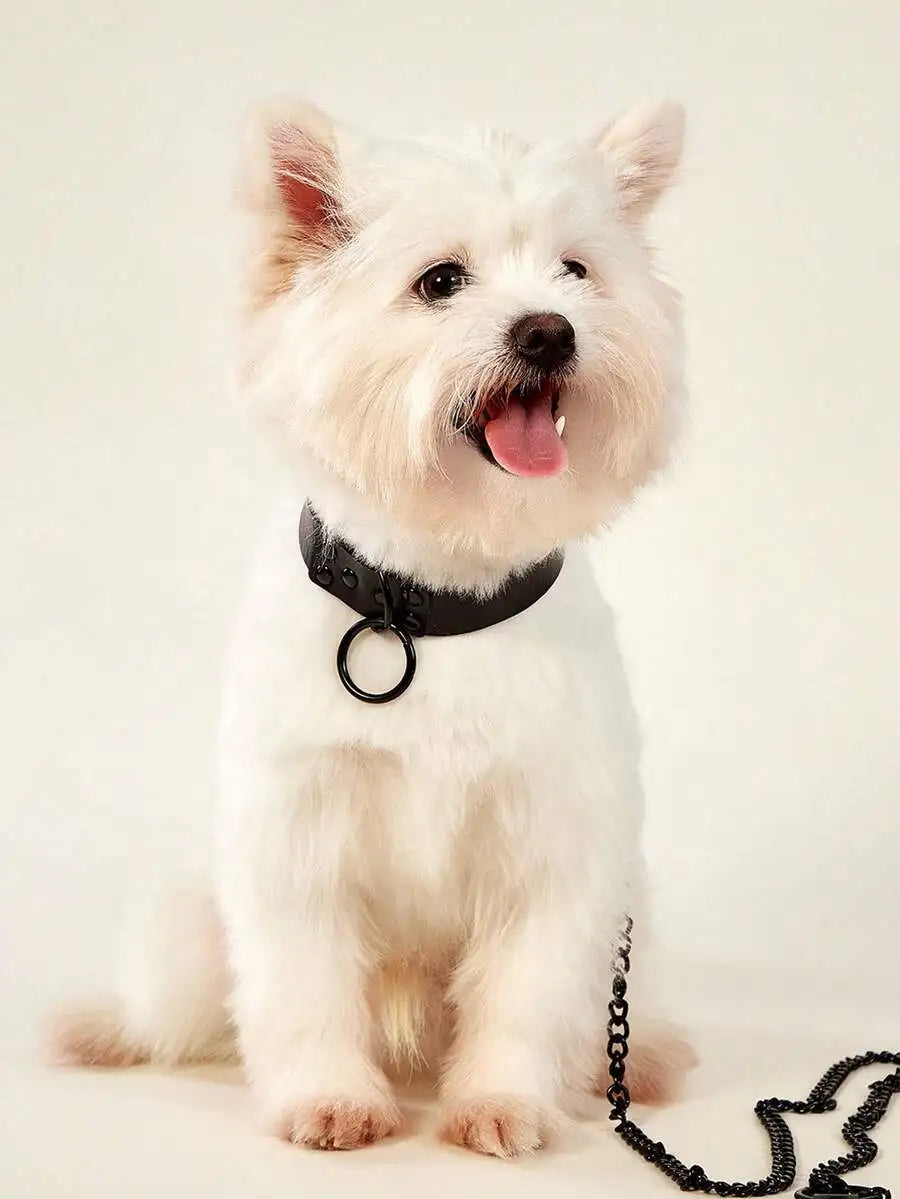 Personalized Dog Collar and Leash Set, Adjustable PU Pet Collar