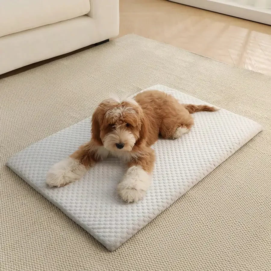 Cooling Cat Bed – Breathable Washable Padded Nest for Cats & Small Dogs