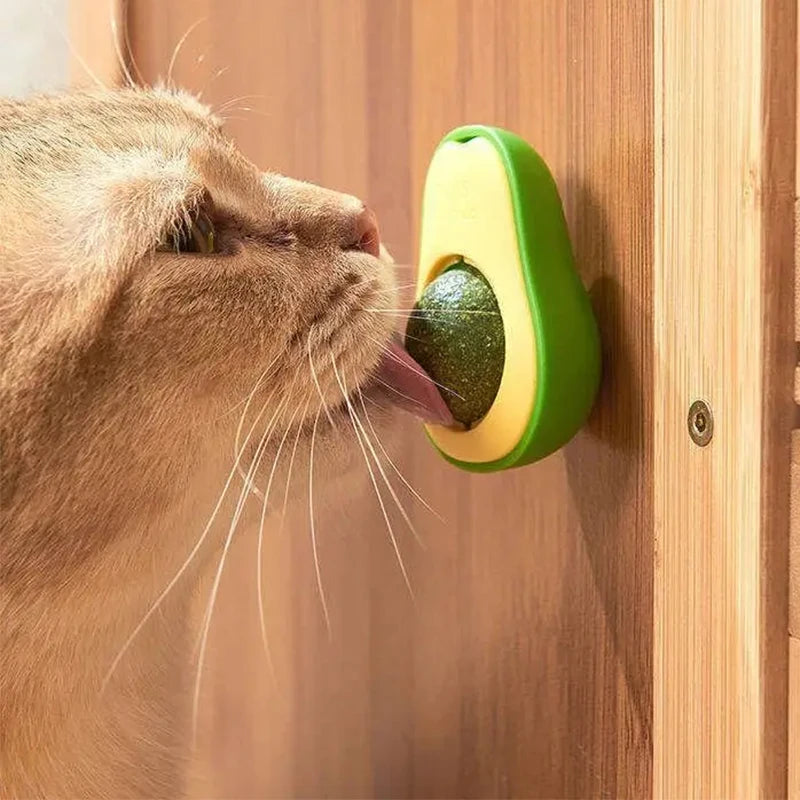 Catnip Ball Cat Toy – Teeth Cleaning & Interactive Dental Toy