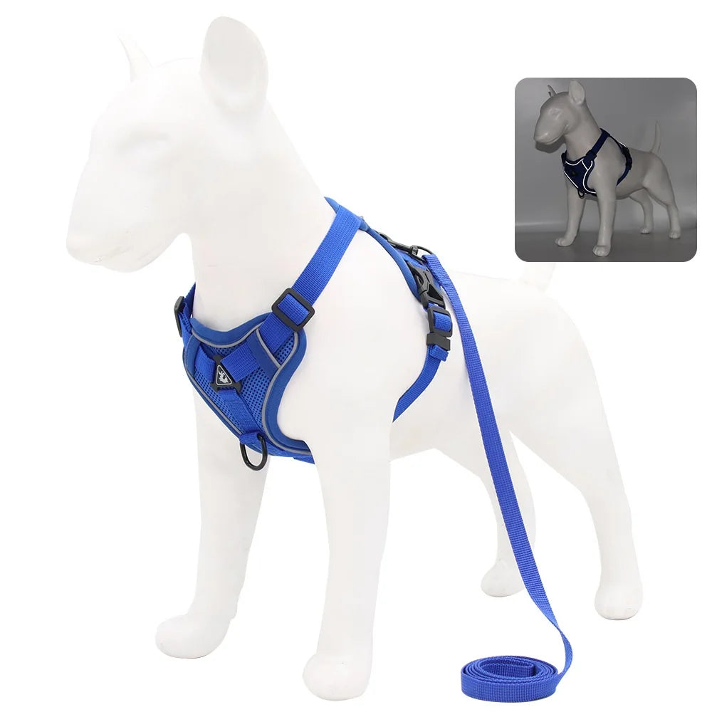 Small Dog Harness and Leash Set – Adjustable Vest