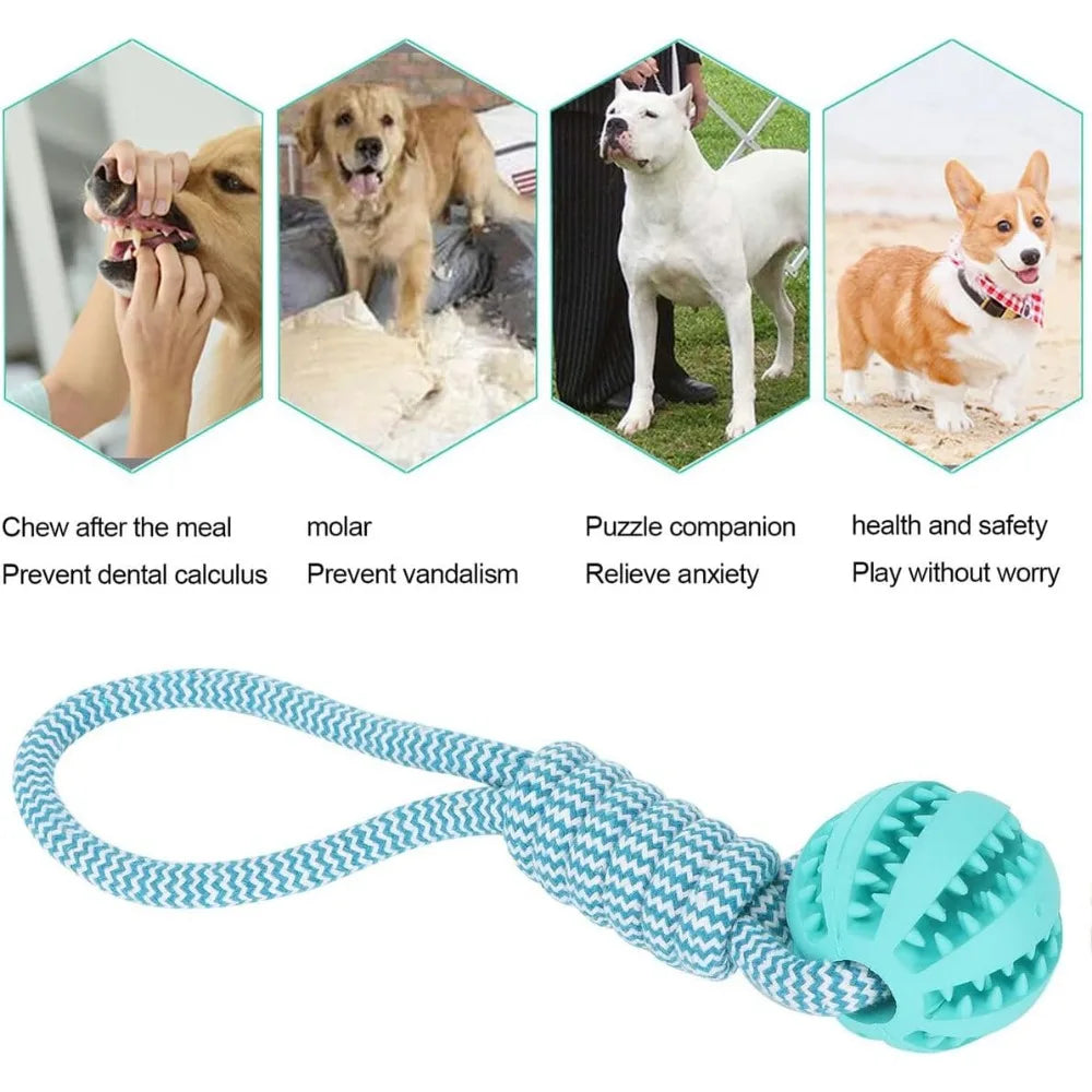 Dog Chew Toy Rubber Ball for Teeth Cleaning & Training