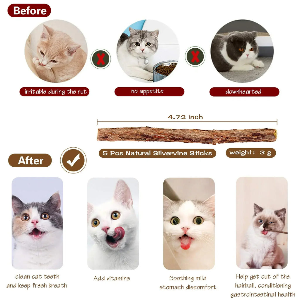Cat Wand Toy with Bell & Catnip – Interactive Teaser for Indoor Cats