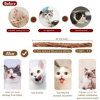 Cat Wand Toy with Bell & Catnip – Interactive Teaser for Indoor Cats