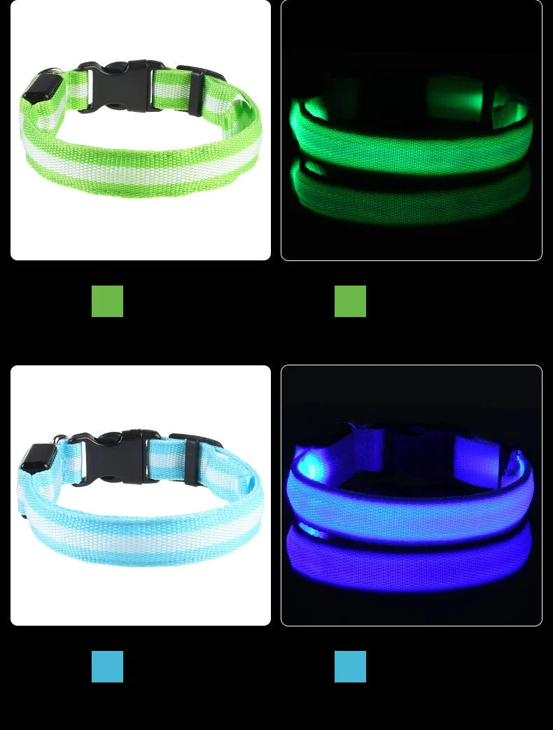 LED Dog Leash Nylon Light Up Glow Night Safety Collar