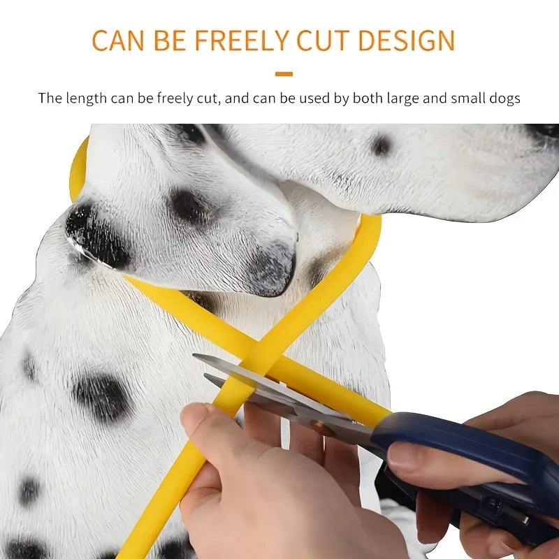 LED Dog Collar – USB Rechargeable Light-Up Reflective Collar