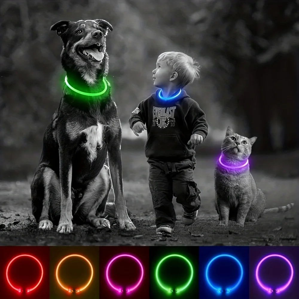 LED Dog Collar – USB Rechargeable Light-Up Reflective Collar