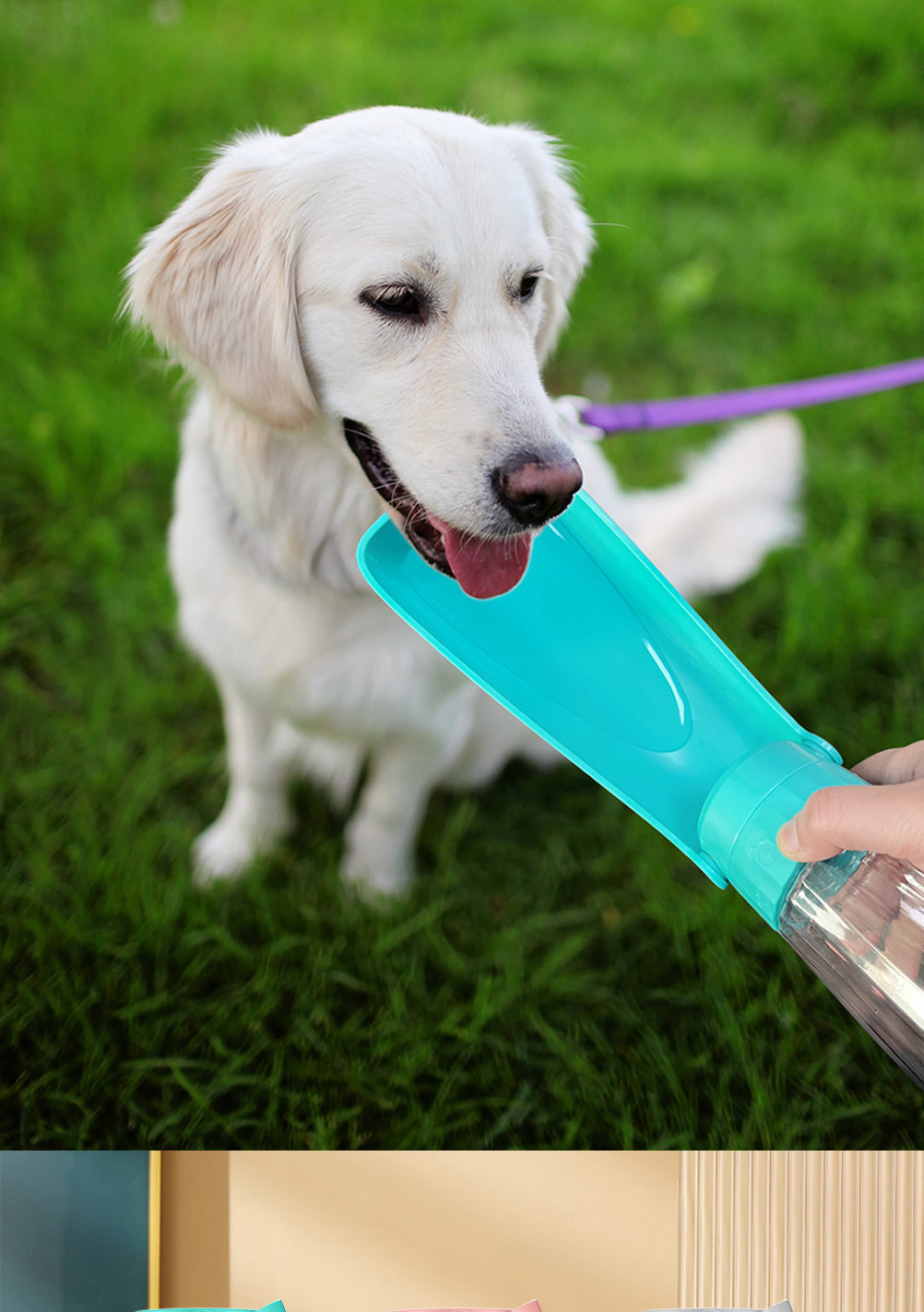 Portable Dog Water Bottle