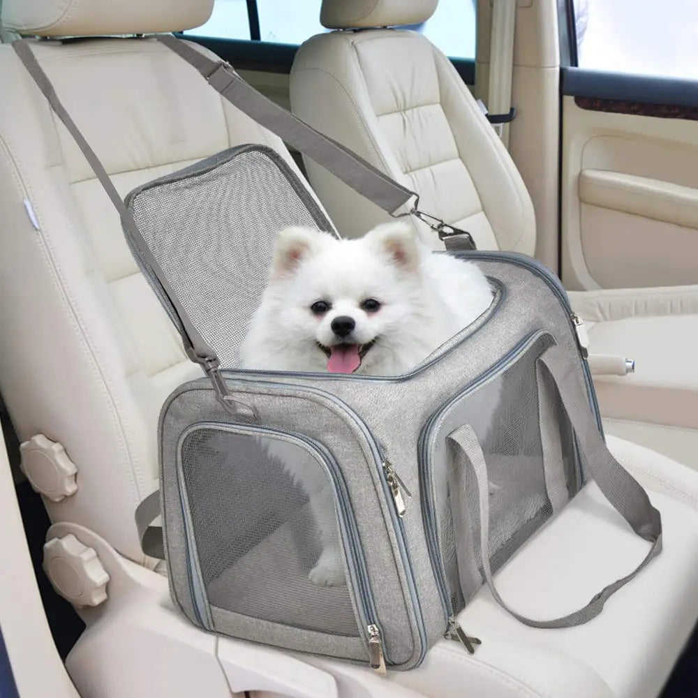 Small Dog Carrier Backpack – Soft-Sided Cat & Pet Travel Bag