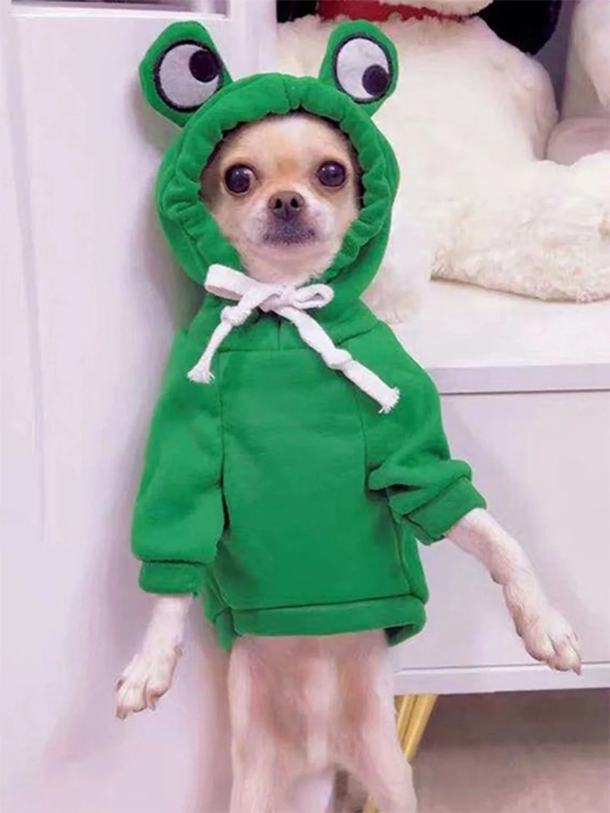 Dog Sweater for Small & Medium Dogs Green Frog Hoodie