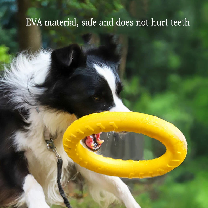 Dog Toy Set – EVA Ball, Flying Disc & Tug Rope