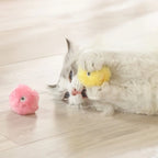 Interactive Cat Toy – Electric Squeaky Ball with Catnip